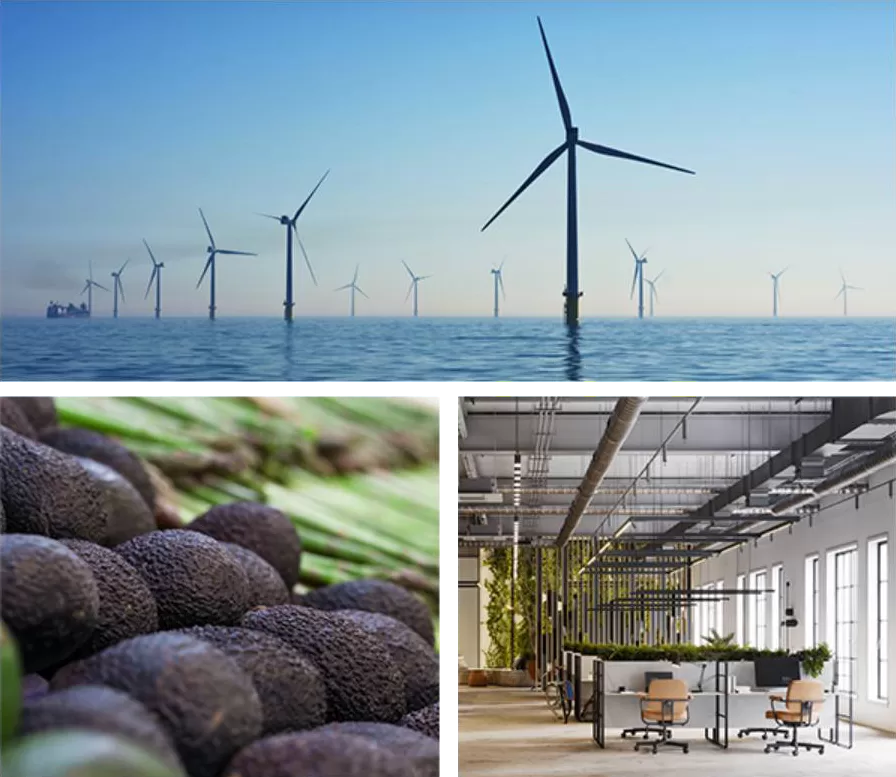 Offshore wind turbines rise from the sea; a close-up of dark brown, textured spheres; and a modern open-plan office with plants.