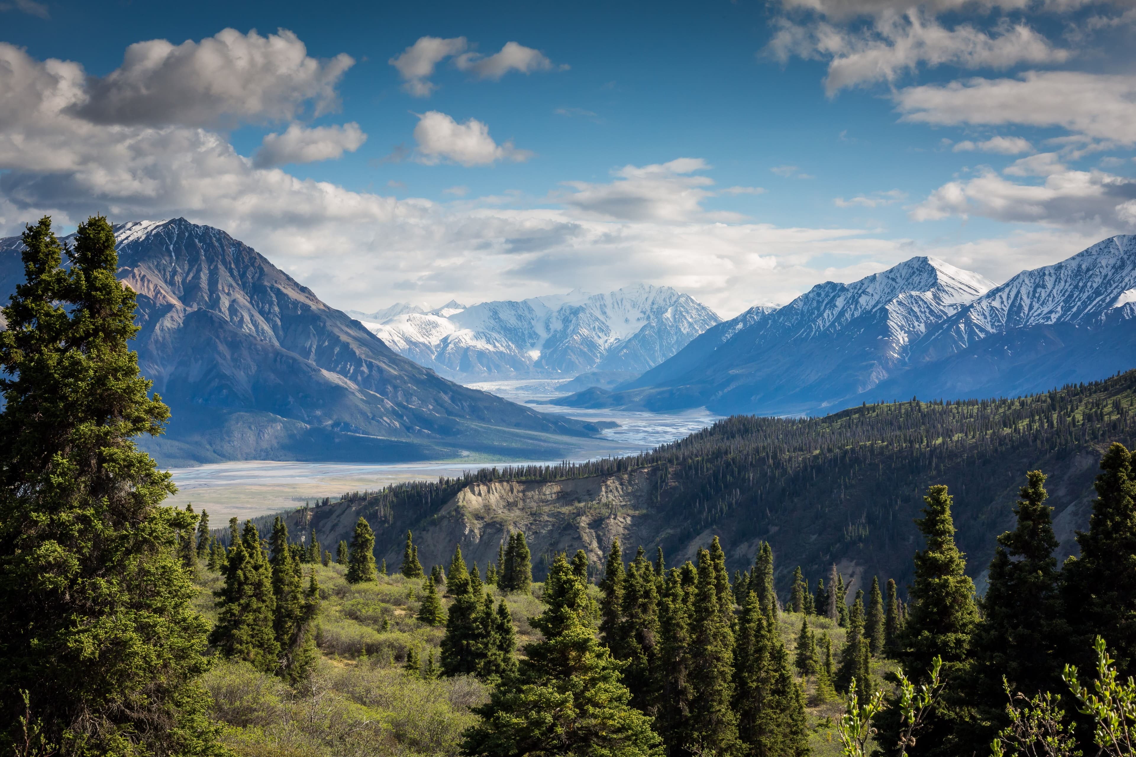 Snow-capped mountains rise behind a pine forest, with a broad valley and river, under a blue sky with white clouds.