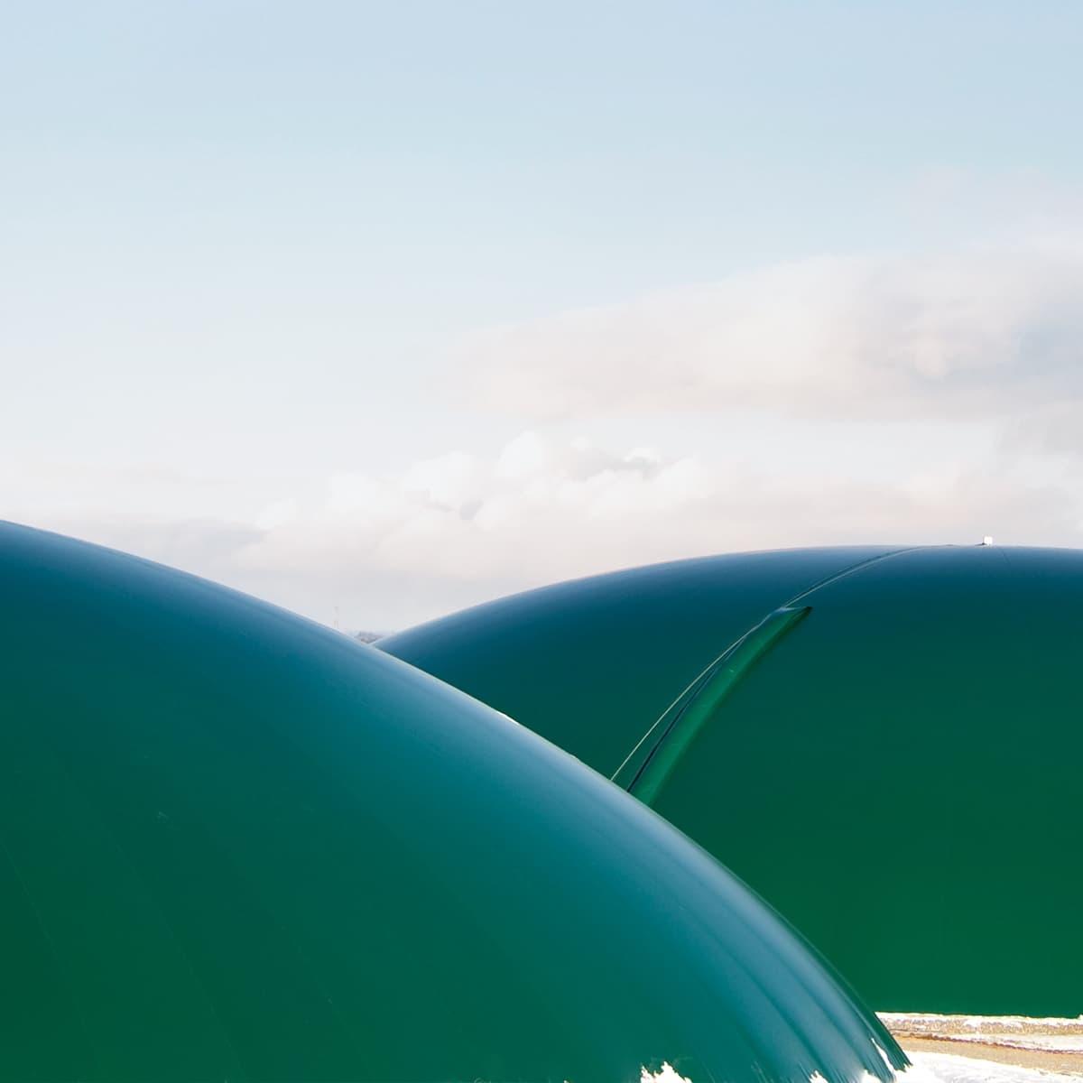 Close-up of large, glossy green dome-shaped structures with seams, against a pale blue sky with clouds and a snowy ground.
