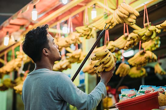 A person wearing a gray sweater stands in a colorful market, using a pole to pull down a bunch of bananas from a display of hanging fruit.