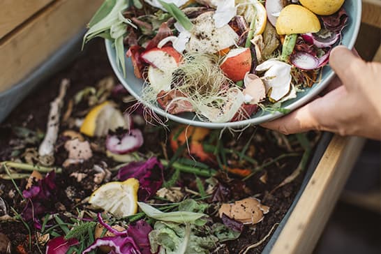 A hand holds a bowl of kitchen scraps—peels, greens, and shells—over a wooden compost bin, adding colorful organic waste to the heap.