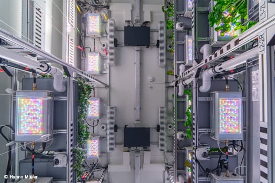 Top-down view of a data center aisle with rows of server racks, LED panels, cables, cooling pipes, and green plants along the sides.
