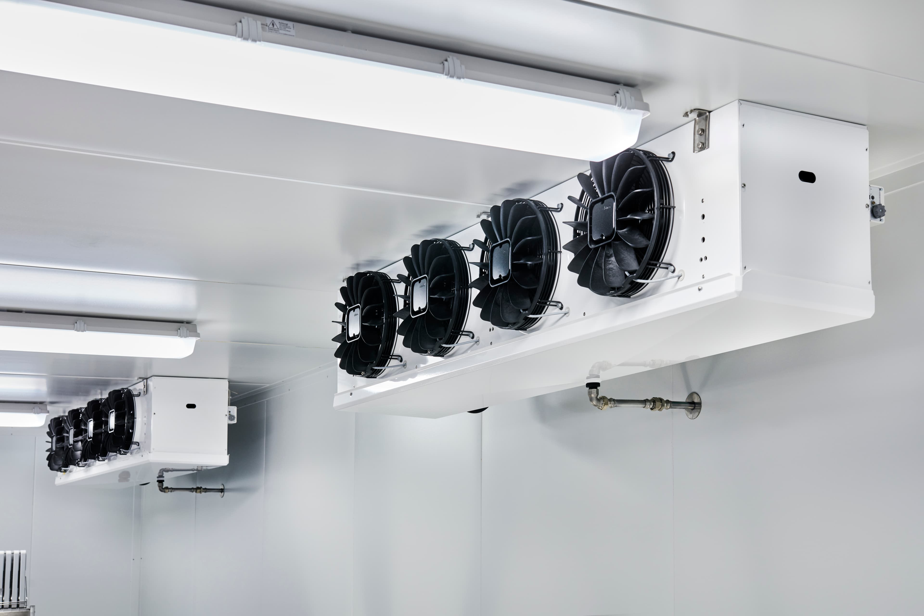 Row of large black cooling fans mounted in a white ceiling-mounted unit in a clean cold-storage room, with fluorescent lights and piping along the wall.