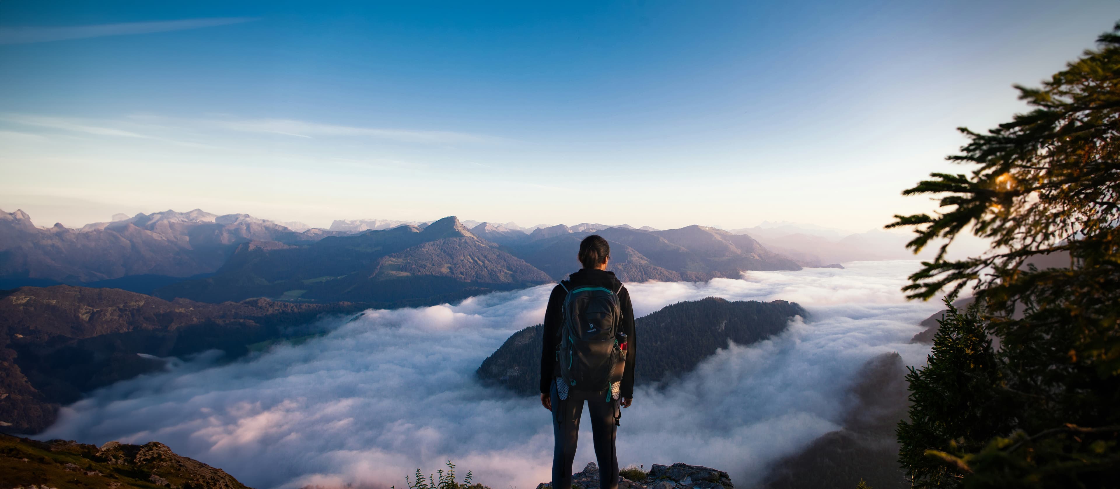 Person with a backpack stands on a mountaintop, gazing over a sea of clouds and distant peaks at sunrise, under a blue sky with pine branches to the right.