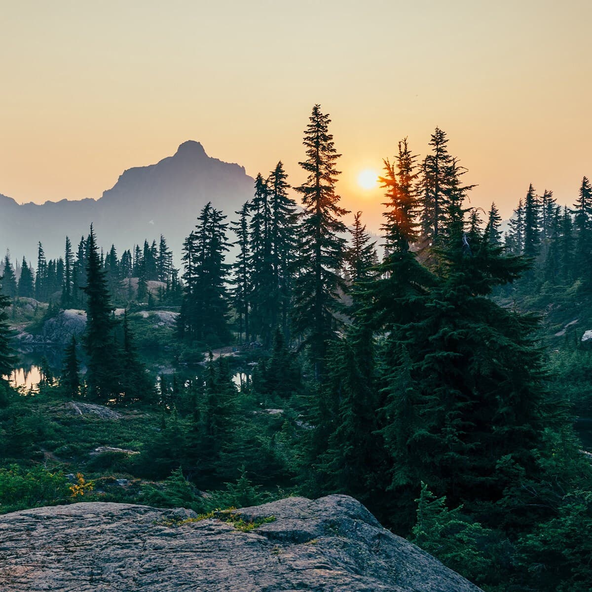Sunset over a pine forest with a rocky foreground and distant mountains; warm orange sky, silhouetted evergreens, and a calm, reflective lake.