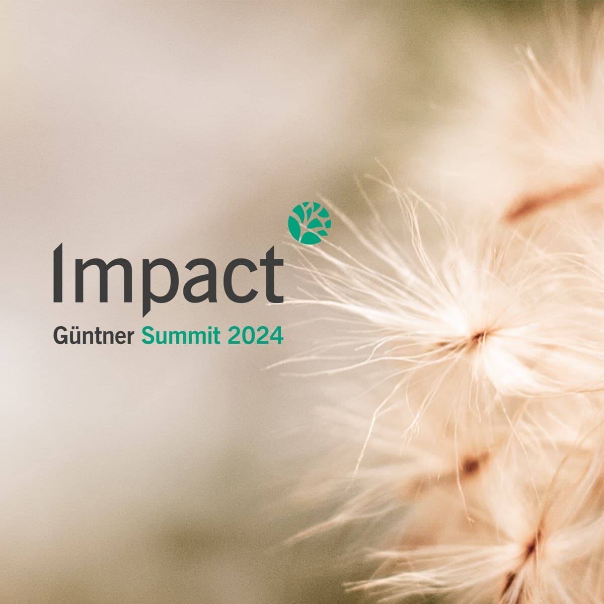 Close-up of a dandelion seed head on the right; left side reads "Impact Günther Summit 2024" with a teal circular leaf logo.