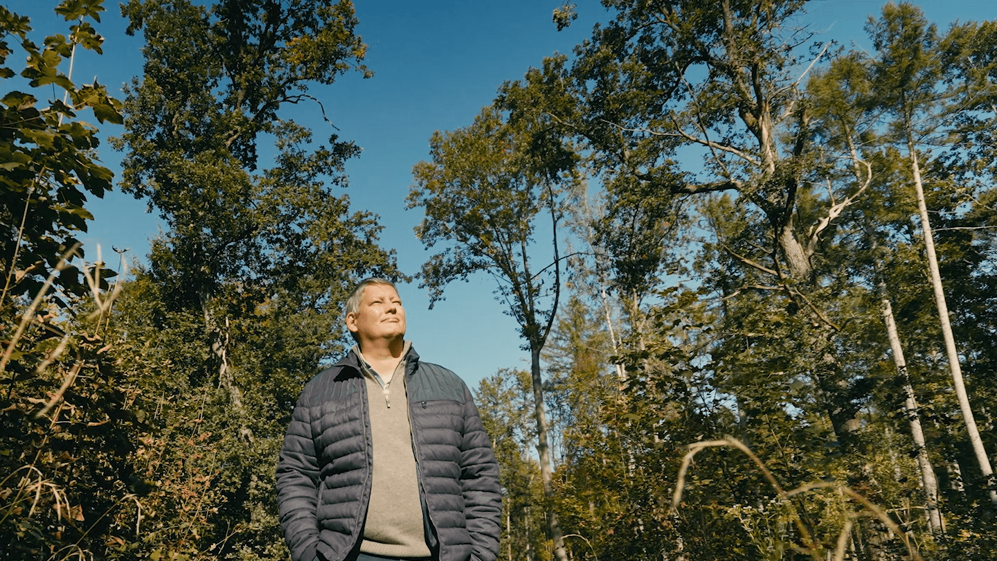 Person stands in a sunlit forest, wearing a dark quilted jacket over a gray sweater, looking up at the clear blue sky among tall trees.