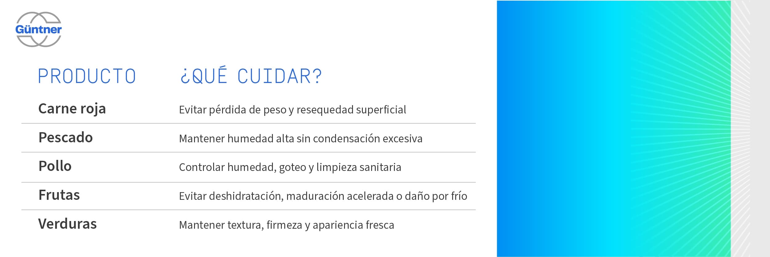 Tabla con título “¿QUÉ CUIDAR?” listando productos: Carne roja, Pescado, Pollo, Frutas, Verduras, cada fila con consejos como evitar pérdida de peso, humedad, limpieza, hidratación, conservación y textura. Incluye logotipo de Güntner y fondo con gradiente azul-verde a la derecha.