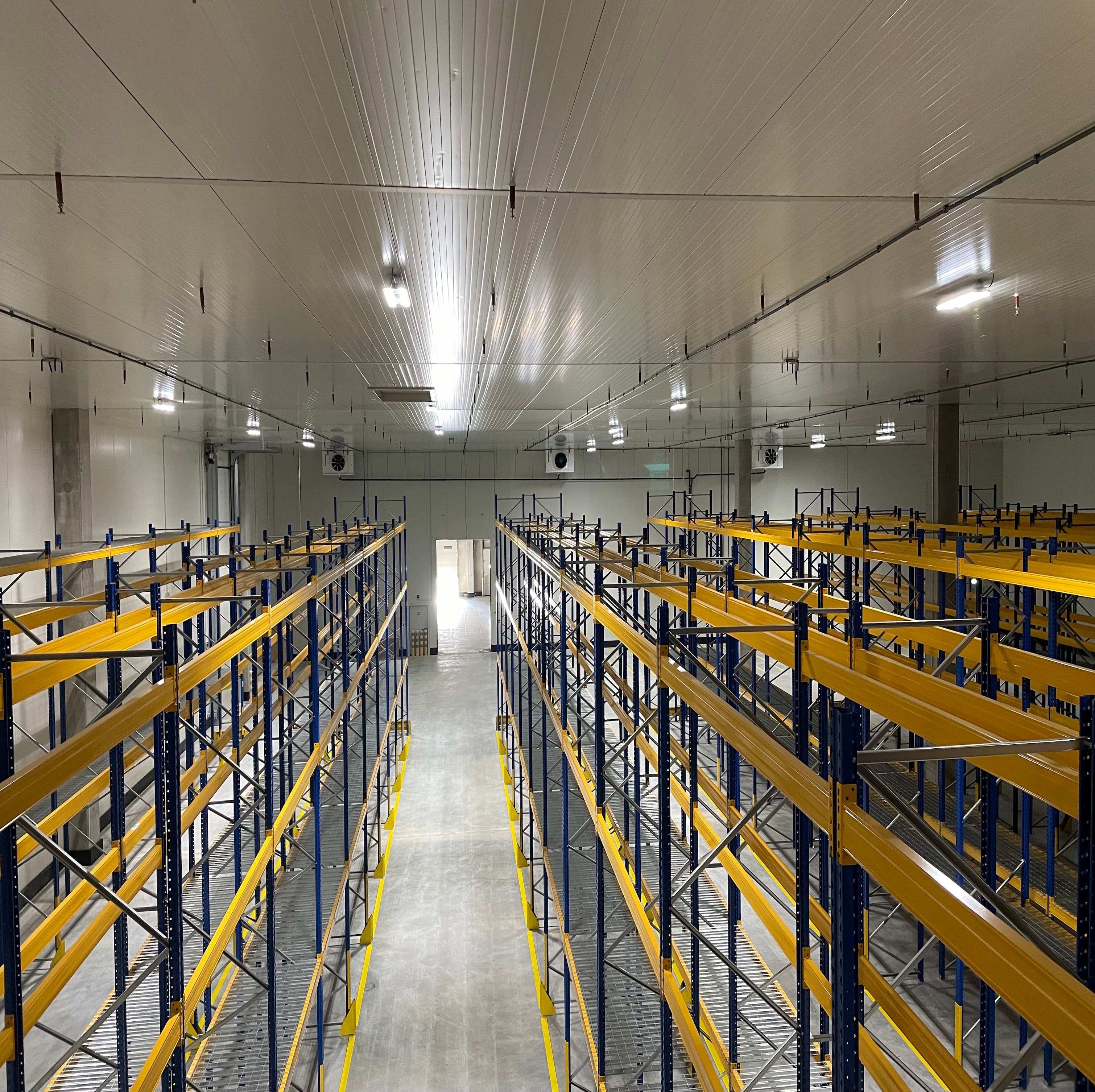 Interior of a large empty warehouse with tall blue-and-yellow metal racking, long aisles, bright overhead lights, and a distant doorway at the end.