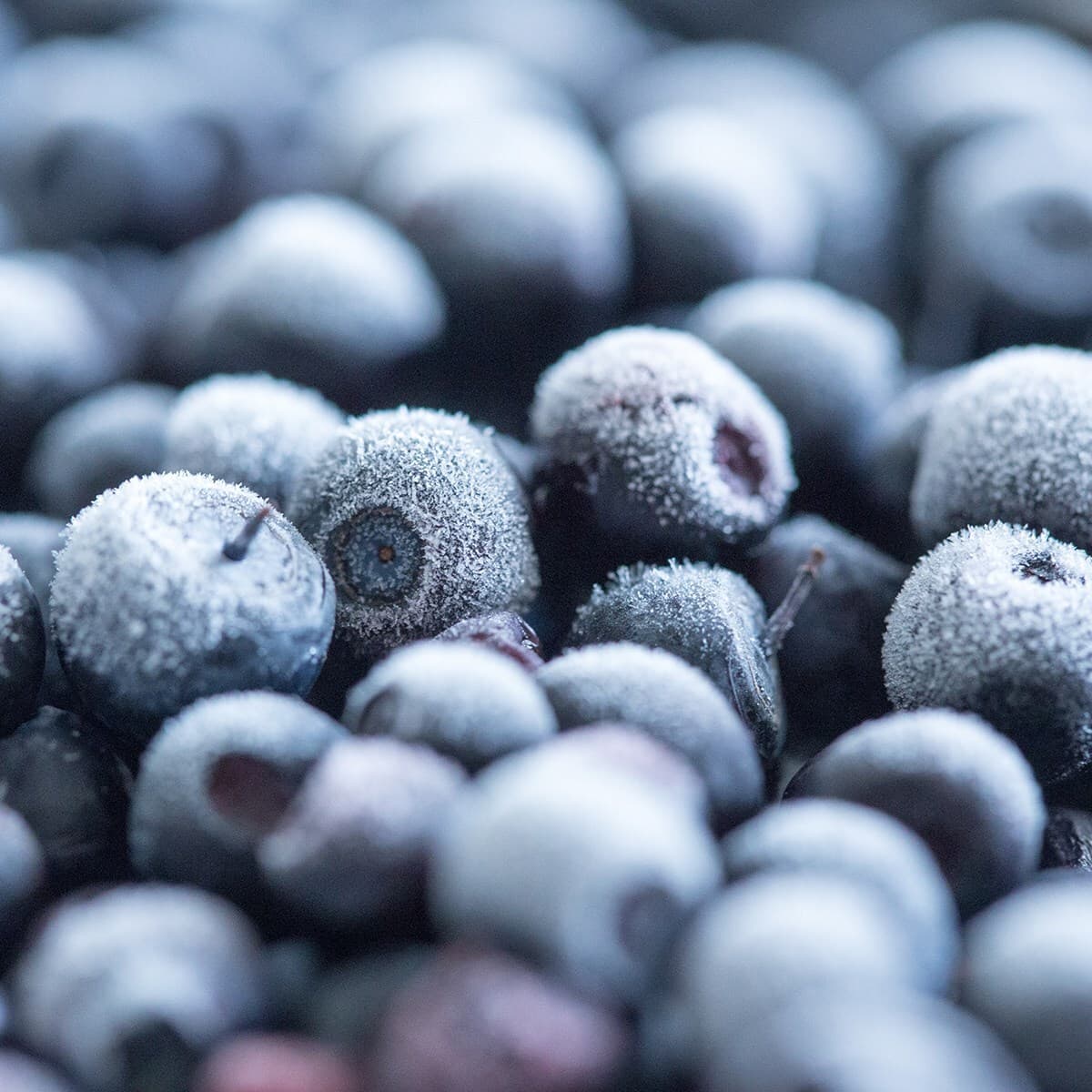Close-up of frosty blueberries; each berry dusted with white frost, displaying cool blue hues and a softly blurred background.