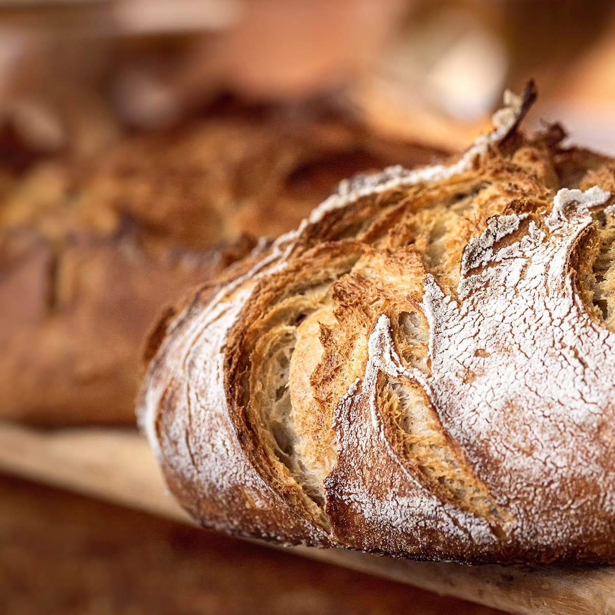 Close-up of a rustic artisan bread loaf with a crackled, flour-dusted crust and visible scoring.