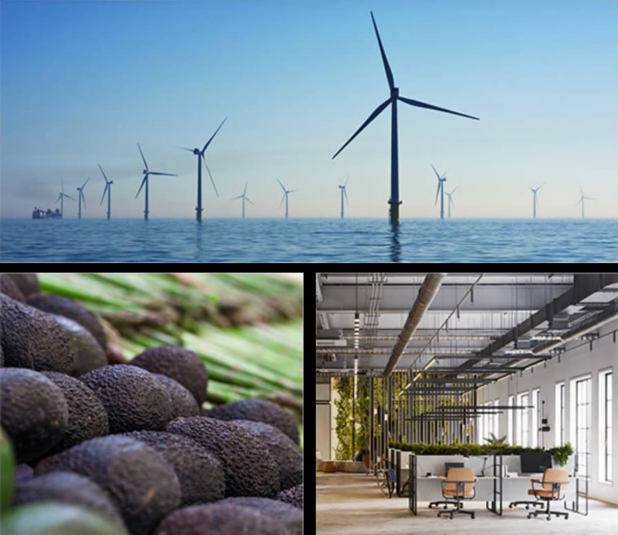 Collage showing offshore wind turbines on the sea, a close-up of avocados, and a bright open-plan office with desks and plants.
