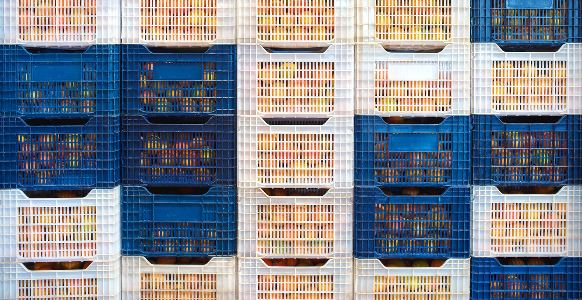 Stacked blue and white plastic crates filled with oranges, arranged in a neat grid pattern.