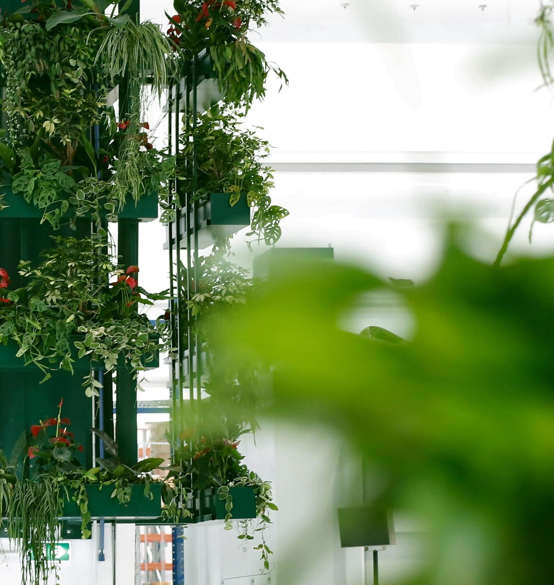 Jardín vertical con macetas verdes en una estructura metálica dentro de un pasillo blanco e iluminado.