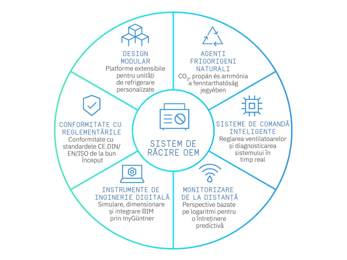 GUN 33 IR OEM Cooling system translations OEM Cooling system ROMANIAN
