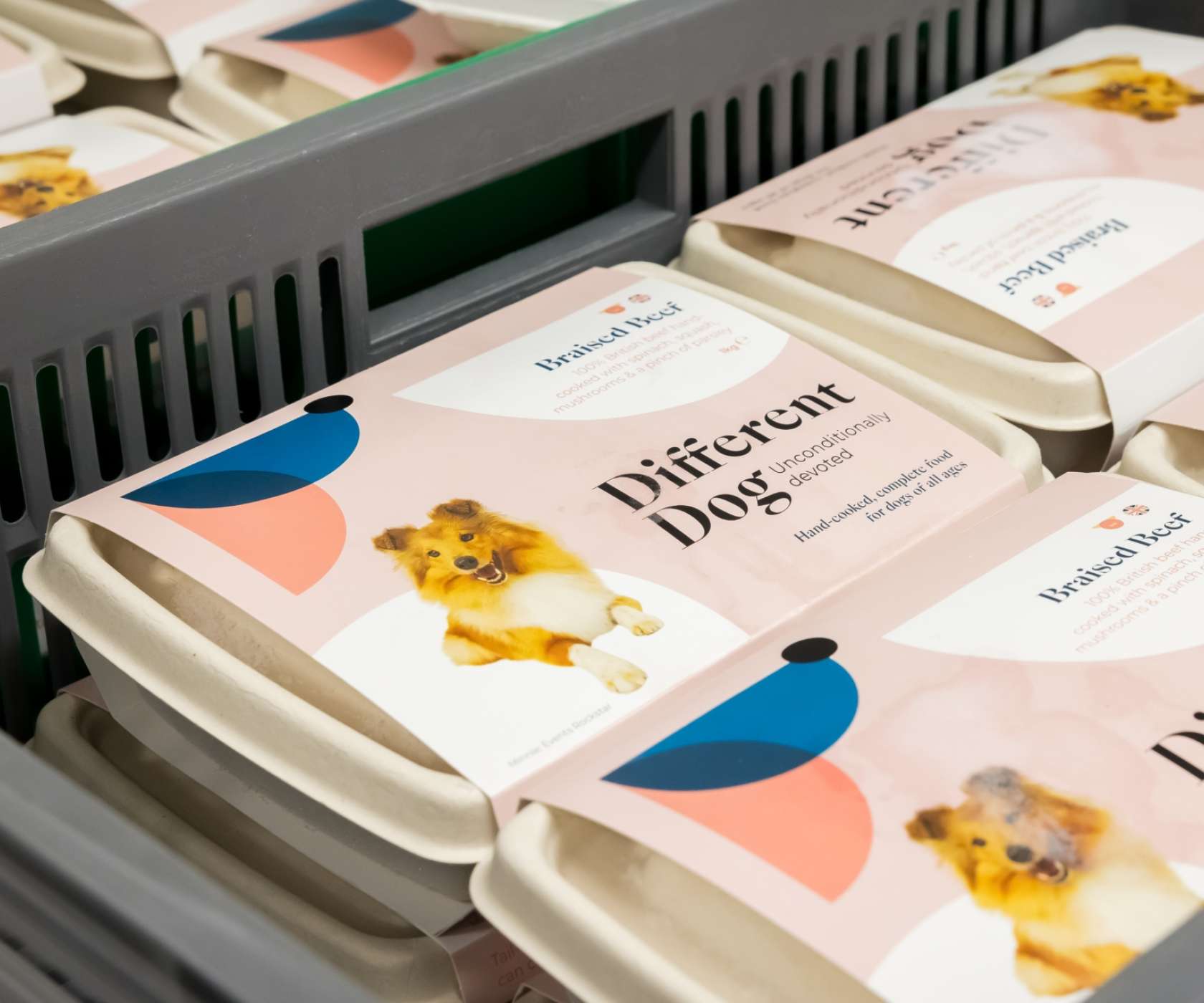 Different Dog Header