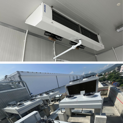 CS MM Mega Vietnam Products2