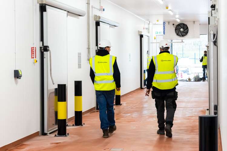 Different Dog Image 2