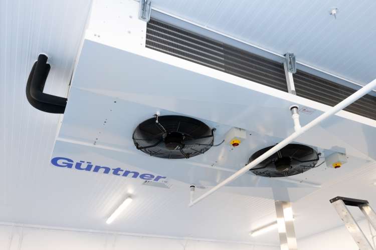 Different Dog Image 3