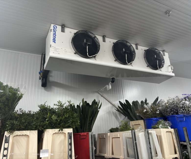 Black Tulip Middle East Header2