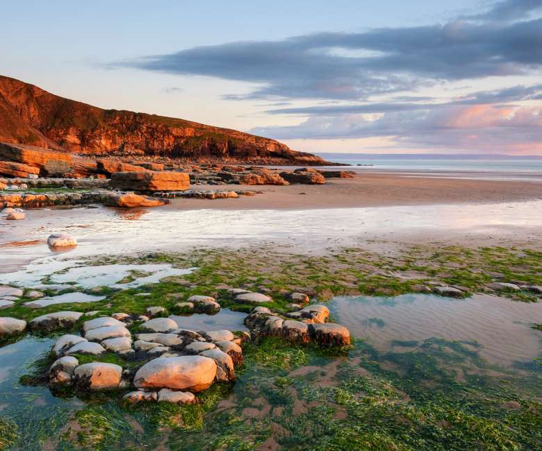 Sunlit coastal scene: red cliffs and scattered rocks on the left, tidal pools with green algae in the foreground, and calm sea under a pastel sky.
