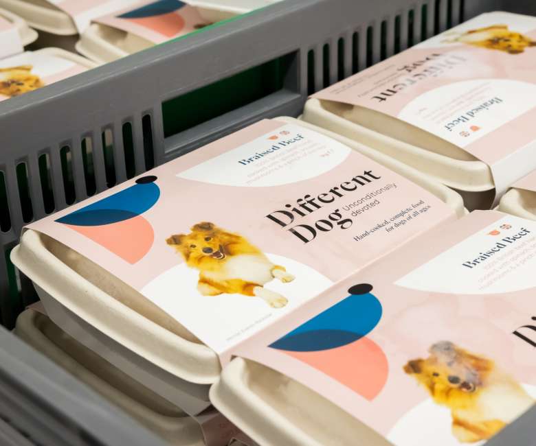 Different Dog Header